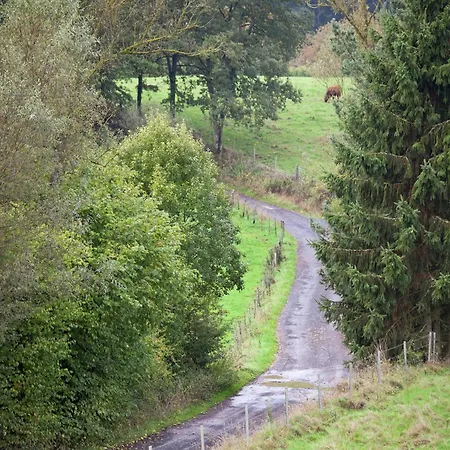 In Gerolstein-muellenborn Lejlighed *