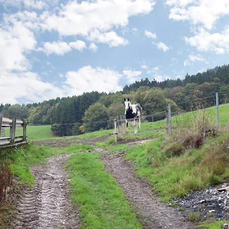 In Gerolstein-muellenborn *