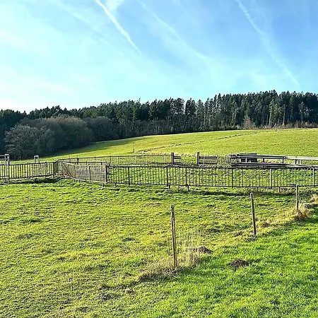 In Gerolstein-muellenborn *